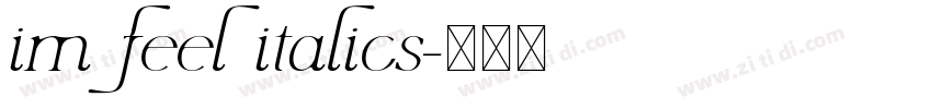 im feel italics字体转换